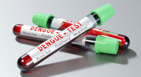 Dengue claims 10 more lives