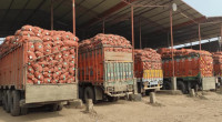 West Bengal halts onion, potato exports to Bangladesh