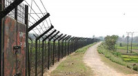 Bangladeshi youth killed in BSF shooting along Kasba border 