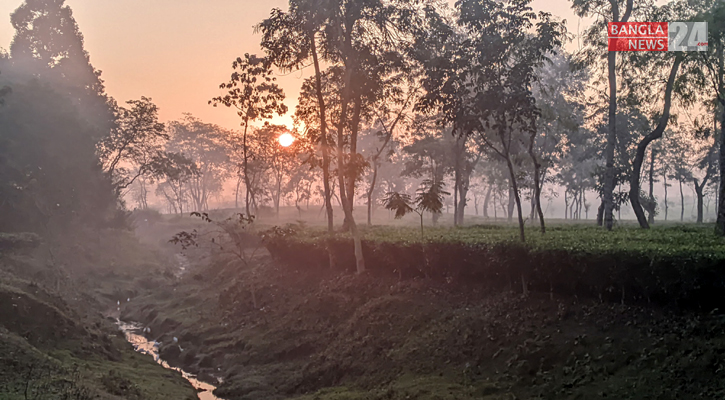 দেশের সর্বনিম্ন তাপমাত্রা শ্রীমঙ্গলে, বইছে মৃদু শৈত্যপ্রবাহ