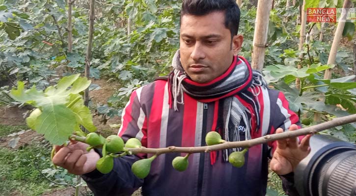 মধ্যপ্রাচ্যের ত্বিনসহ ৩০ প্রজাতির ফল চাষে সফল সিদ্দিক