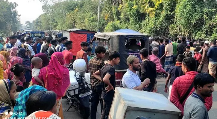 ‘কাঁকড়া ট্রাক্টর’ কেড়ে নিল দুই ভাইয়ের প্রাণ