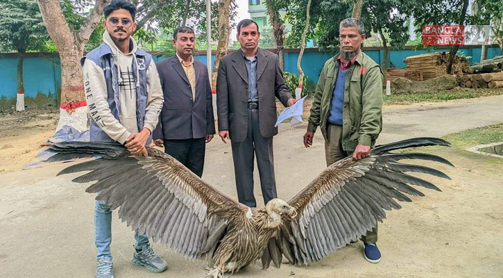 ফেনীতে বিপন্ন প্রজাতির শকুন উদ্ধার