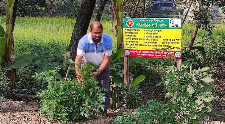 পারিবারিক পুষ্টি বাগানে মিটছে খাদ্যের চাহিদা 