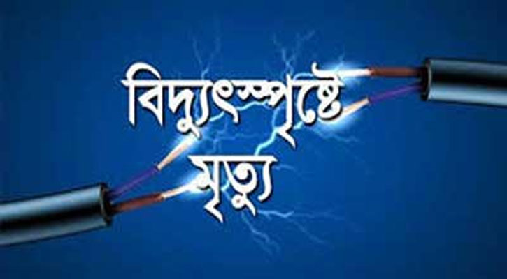 লাখাইয়ে বিদ্যুৎস্পৃষ্ট হয়ে শ্রমিকের মৃত্যু