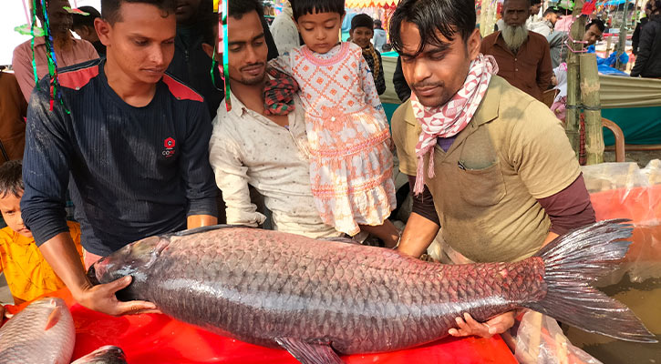 ৪০ কেজির ব্ল্যাক কার্পের দাম ৮০ হাজার টাকা!