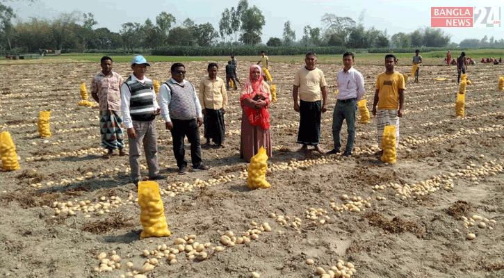 মালয়েশিয়ায় রপ্তানি হচ্ছে খানসামার আলু