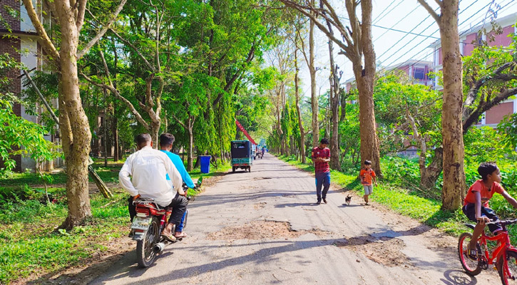 শাবির অভ্যন্তরীণ রাস্তা বেহাল, চলাচলে দুর্ভোগ