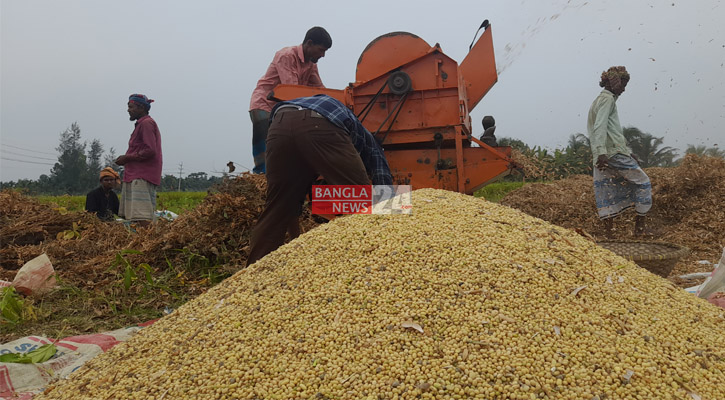 সয়াল্যান্ডে এবার ৫০০ কোটি টাকার সয়াবিন উৎপাদন