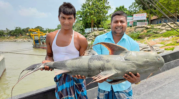 ২৭ কেজির বাঘাইড় সাড়ে ৪০ হাজার টাকায় বিক্রি