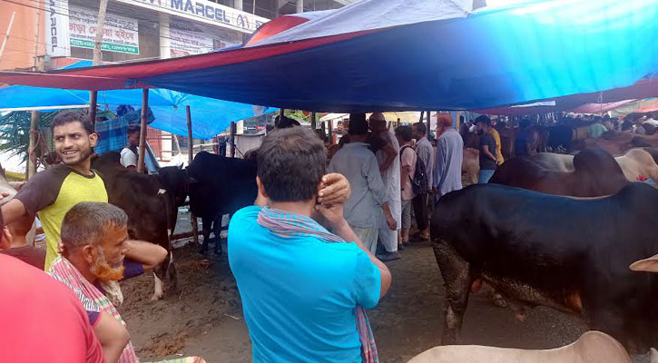 বিকেলে রাজধানীর পশুর হাটে ক্রেতাদের ভিড়