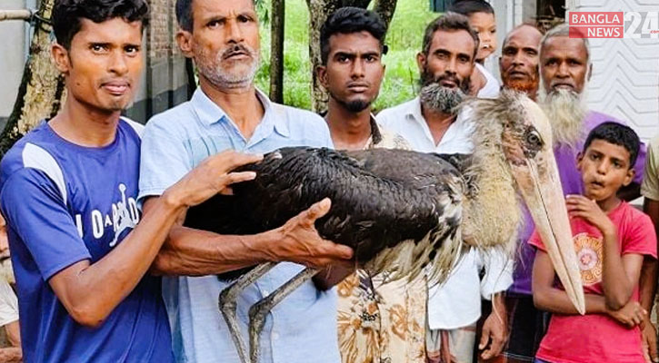 জয়পুরহাটে বিরল প্রজাতির পাখিটি দেখতে ভিড়