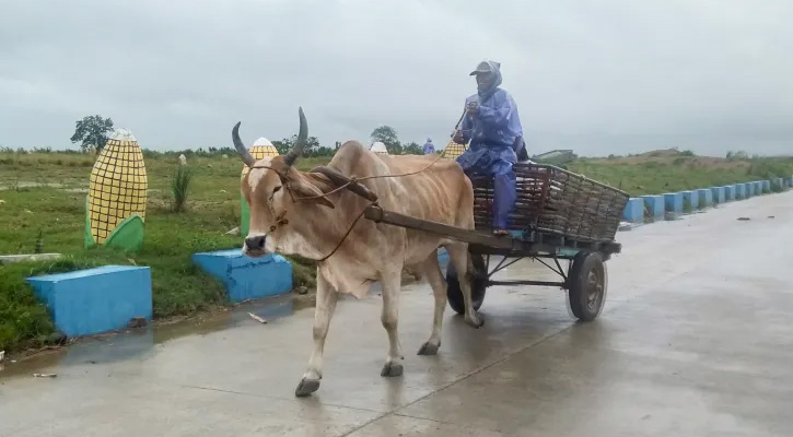 টাইফুন সাওলায় চীনে সর্বোচ্চ সতর্কতা জারি