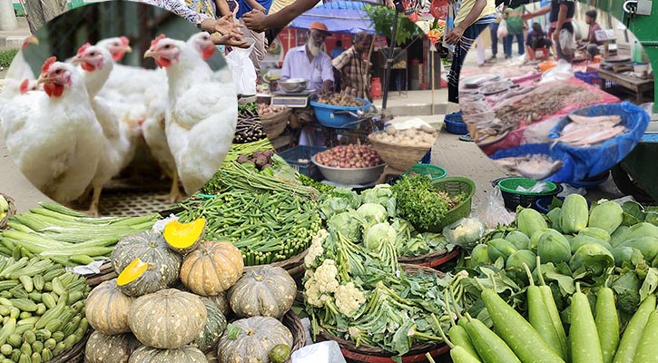 সপ্তাহ ব্যবধানে বেড়েছে ব্রয়লার মুরগির দাম