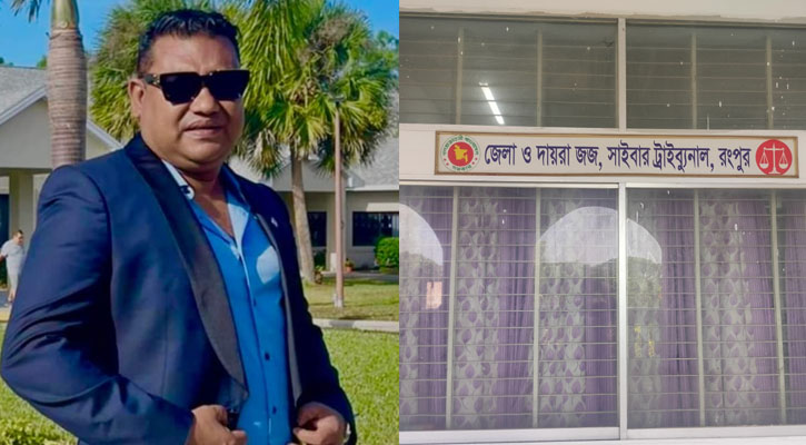 প্রধানমন্ত্রীকে নিয়ে কটূক্তি, আমেরিকাপ্রবাসীর নামে মামলা