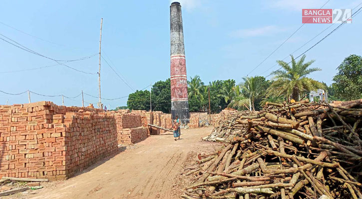 মধুখালীতে ইটভাটায় পোড়ানো হচ্ছে কাঠ, নেই পরিবেশ অধিদপ্তরের সনদ