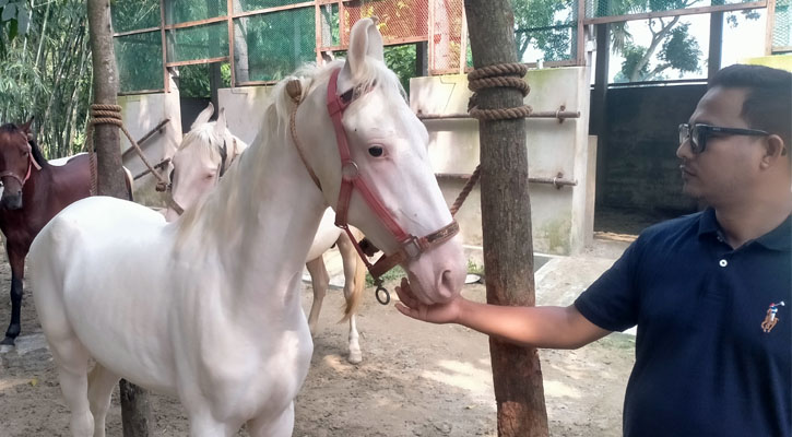 দেশের প্রথম বাণিজ্যিক ঘোড়ার খামার ময়মনসিংহে