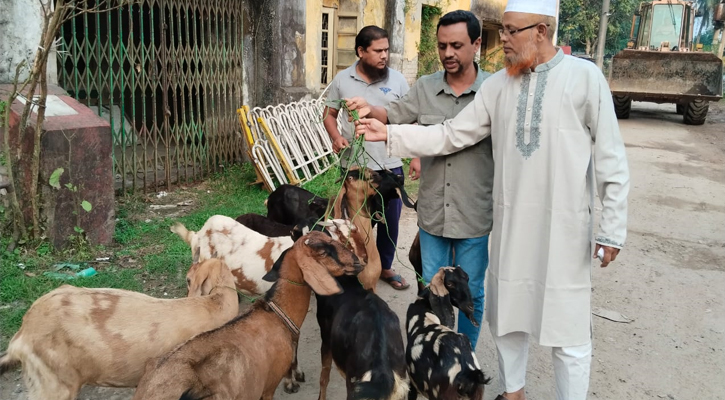 বরিশালে এক বছর ‘বন্দি’ থাকার পর খামারে ফিরল ৯ ছাগল