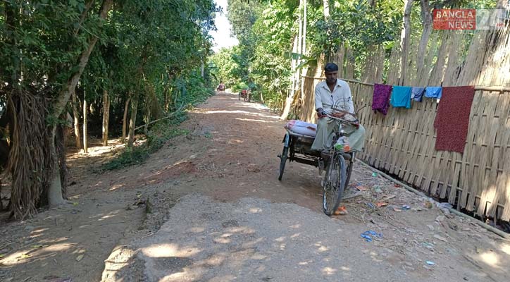 সালথায় বেহাল সড়ক, ঝুঁকি নিয়ে চলছে যানবাহন