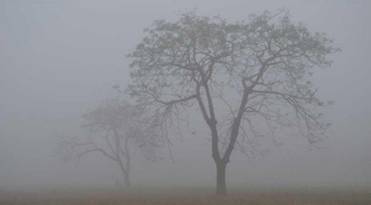 দুপুর পর্যন্ত কুয়াশা পড়তে পারে