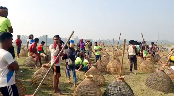 বানিয়াচংয়ের বিলে পলোবাইচ উৎসব