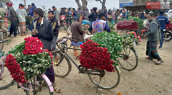 ফাগুন হাওয়ায় গাঁদা ফুলে আগুন, গোলাপের দামে রেকর্ড