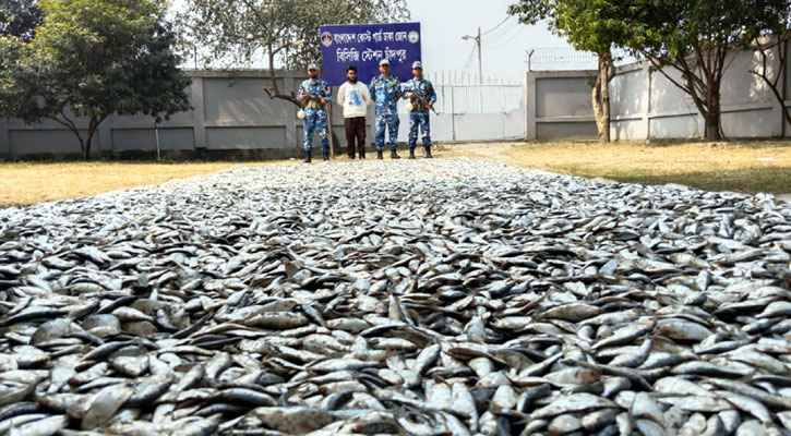 মেঘনায় ট্রলার থেকে ৩ হাজার ১০০ কেজি জাটকা জব্দ