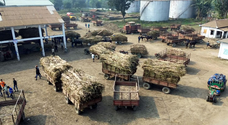 লক্ষ্যমাত্রা ছুঁতে পারেনি জিল বাংলা সুগার মিল