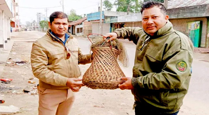 ৩৮ তিলা মুনিয়ার মধ্যে জীবিত মিলল মাত্র ৯টি