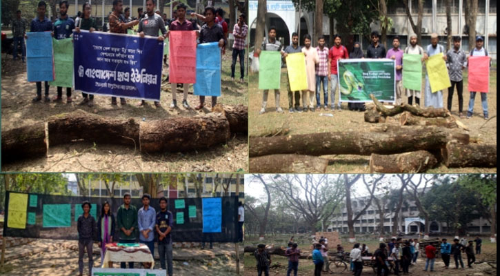 গাছ কেটে বৈশাখী মঞ্চ নির্মাণ, ইবি ছাত্র ইউনিয়নের প্রতিবাদ