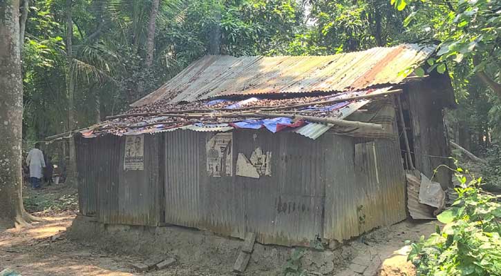 ঘরে মাটিচাপা অবস্থায় মিলল বৃদ্ধার মরদেহ, বাকেরগঞ্জে চাঞ্চল্য