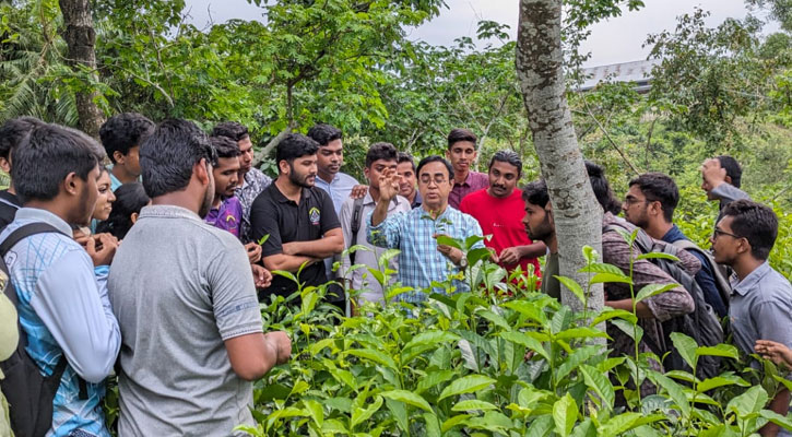 বিশ্ব চা দিবস: ৫০ বছরে চা শিল্প অনেক দূর এগিয়েছে