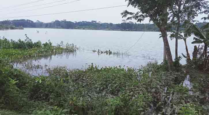 ঝালকাঠিতে কৃষি ও মৎস্য খাতে ৮৪ কোটি ১৭ লাখ টাকার ক্ষতি