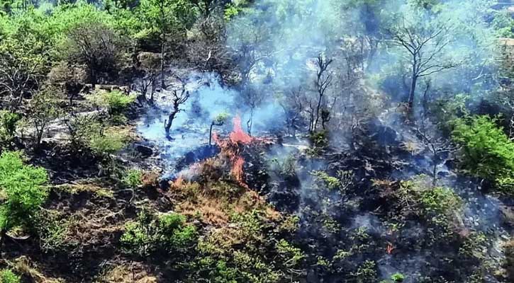 কাশ্মীরের বনাঞ্চলে দাবানল, বিস্ফোরিত হচ্ছে ল্যান্ডমাইন 