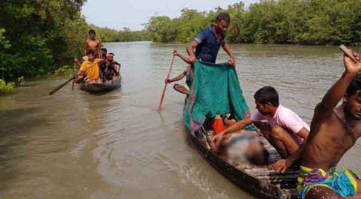 সুন্দরবনে কুমিরের আক্রমণে প্রাণ গেল মৌয়ালের