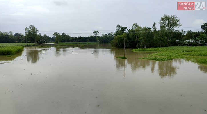 জামালপুরে হু হু করে বাড়ছে পানি, নিম্নাঞ্চল প্লাবিত