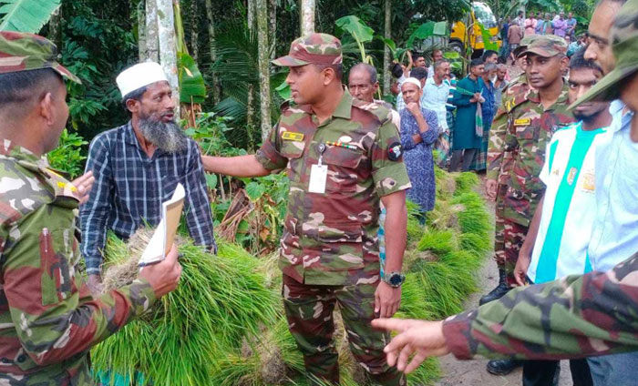 লক্ষ্মীপুরে বন্যায় ক্ষতিগ্রস্ত কৃষকদের ধানের চারা দিল সেনাবাহিনী