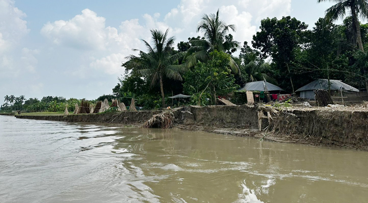 মধুমতির ভাঙনের ঝুঁকিতে স্কুল-মাদরাসা-মসজিদ