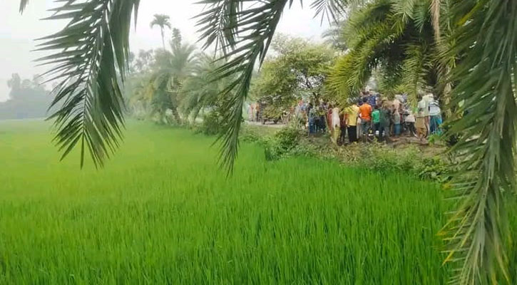 পলাশবাড়ীতে ধানক্ষেতে পড়েছিল এক ব্যক্তির মরদেহ