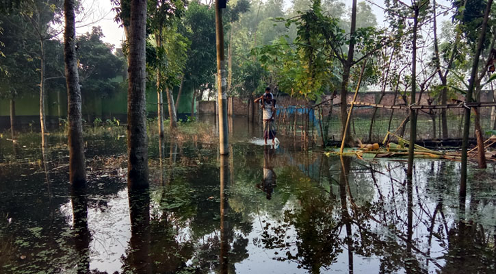 জলাবদ্ধতায় একমাস ধরে দুর্ভোগে  মাগুরার স্টেডিয়ামপাড়ার বাসিন্দারা