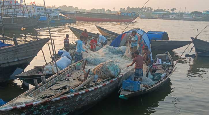 লক্ষ্মীপুরে ৫৯ জেলের কারাদণ্ড, ইলিশ জব্দ ৬৮৭ কেজি