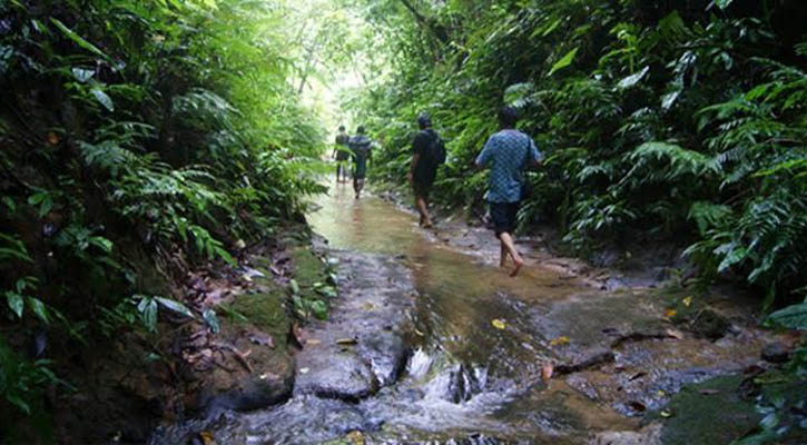  লাঠিটিলা পাহাড়ে বইছে স্বস্তির সুবাতাস