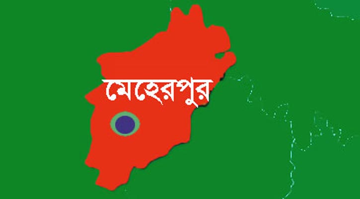 সিঙ্গাপুরে ফেরা হলো না লাল্টুর